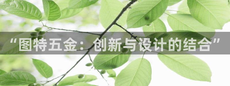 天狮学院娱乐设施