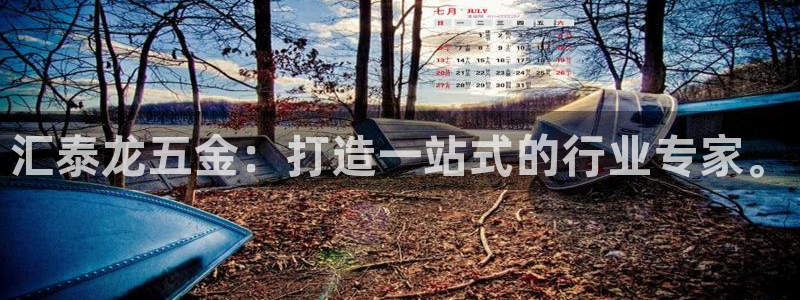 天狮娱乐q 去108-306