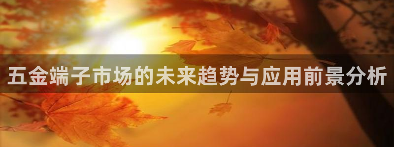 天狮娱乐指尖下载官网