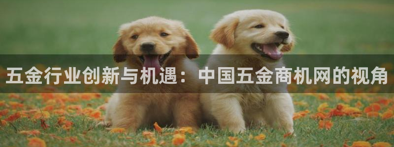 天狮娱乐平台怎么样