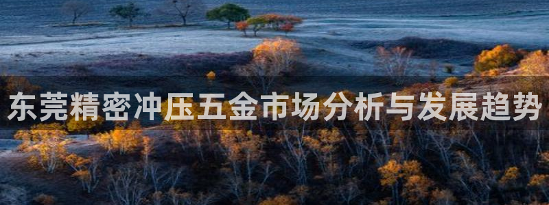 天狮娱乐彩票官网