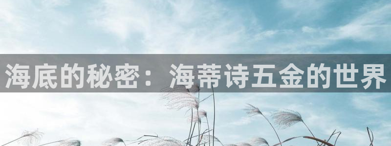 天狮娱乐e招d商98732