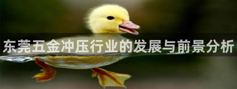 天狮娱乐h 判官