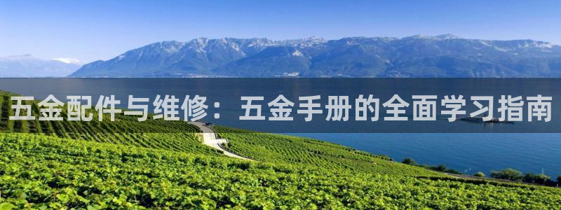 天狮娱乐b OO判官