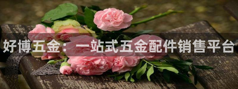 天狮娱乐平台找谁