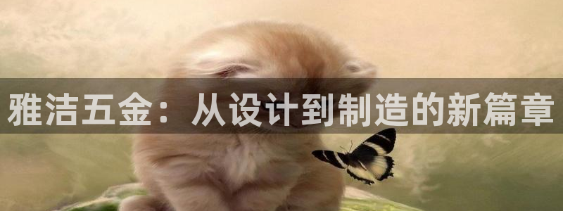 天狮娱乐_99399天神_加扣C