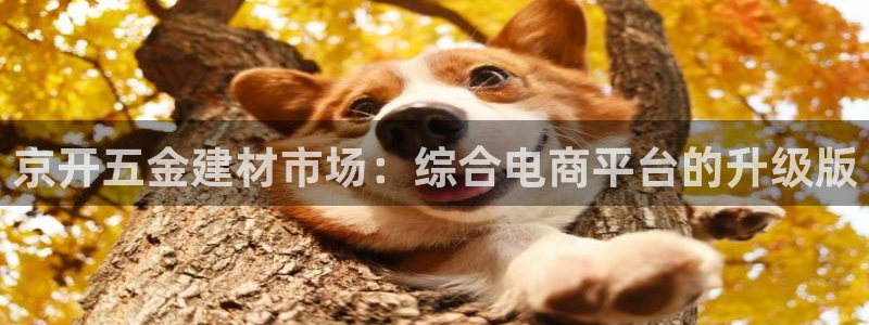 天狮娱乐平台是哪里的