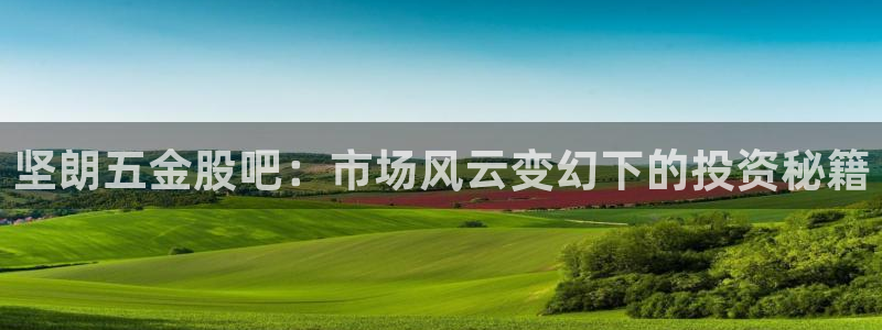 天狮娱乐丶品rd01 vip