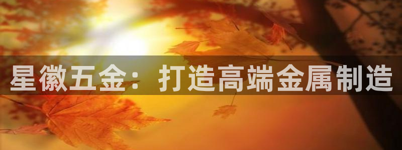 天狮娱乐 官方网站