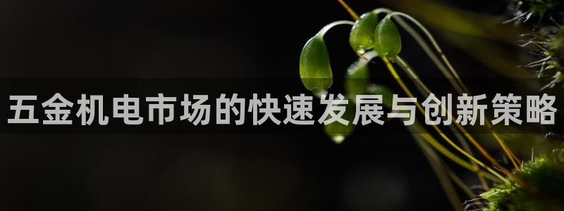 天狮娱乐招代理