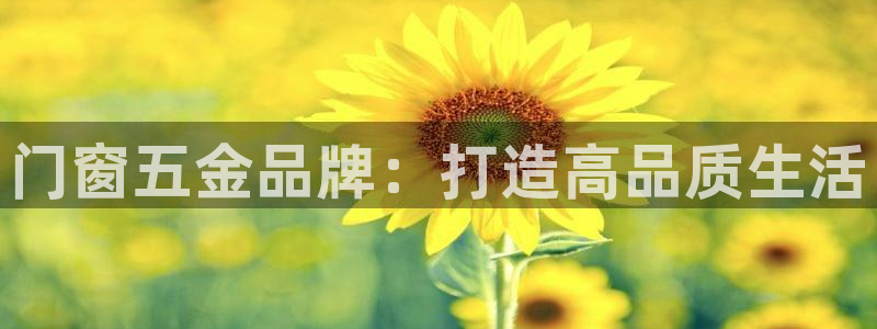 天狮娱乐走势图
