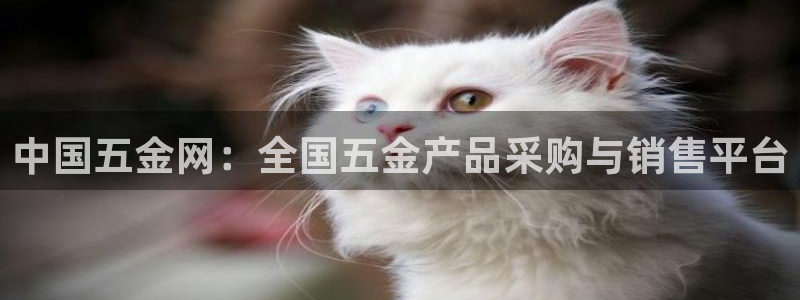 天狮娱乐最新版本