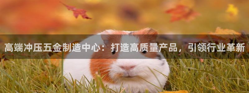 天狮娱乐挂机软件