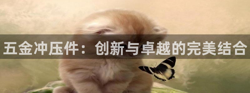 天狮娱乐股东待遇