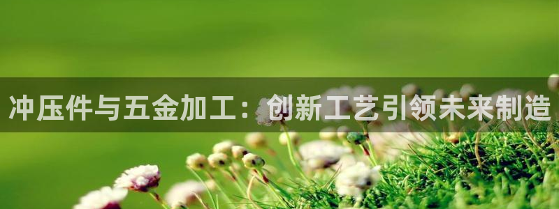 天狮娱乐 运营88383x