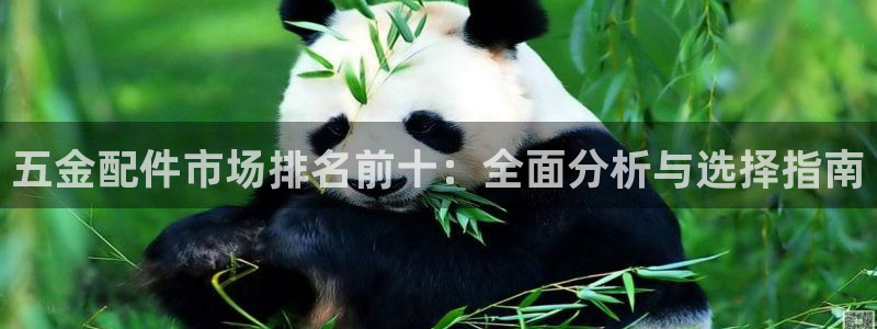天狮娱乐平台作弊