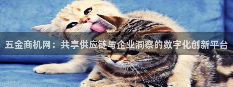 天狮娱乐彩票app