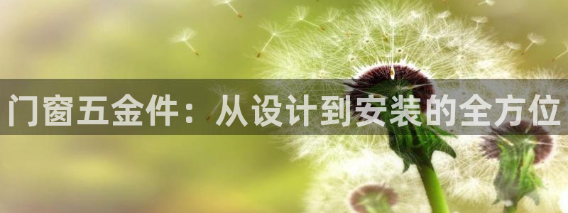 天狮娱乐电脑版