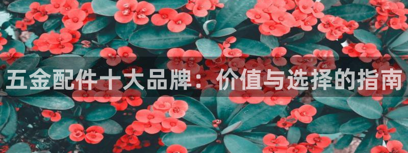 天狮娱乐去