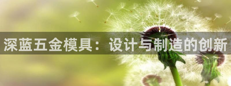 天狮娱乐b 判官