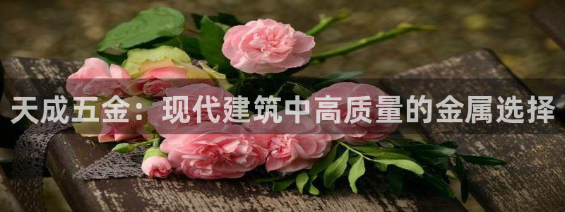 天狮娱乐真的