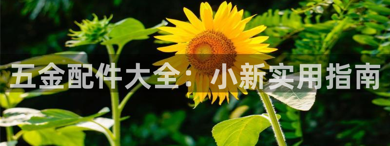 天狮娱乐招j商443593