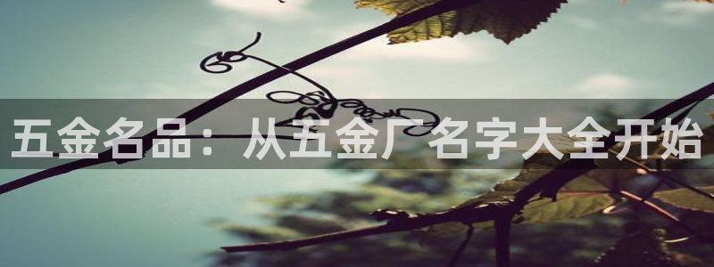 天狮娱乐年