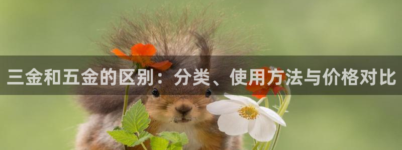 天狮娱乐主管汽车之家