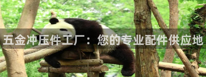天狮娱乐卧J招商60447