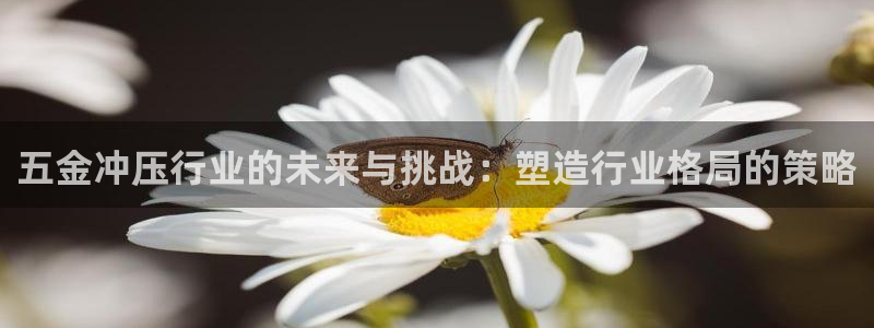 天狮天狮娱乐娱乐q