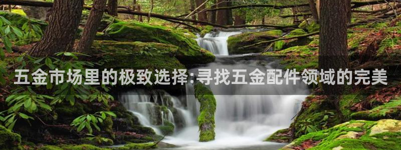 天狮娱乐走势图