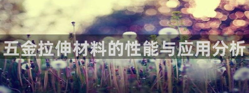 天狮娱乐主管82104