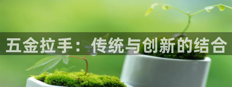 天狮娱乐卧J招商60447
