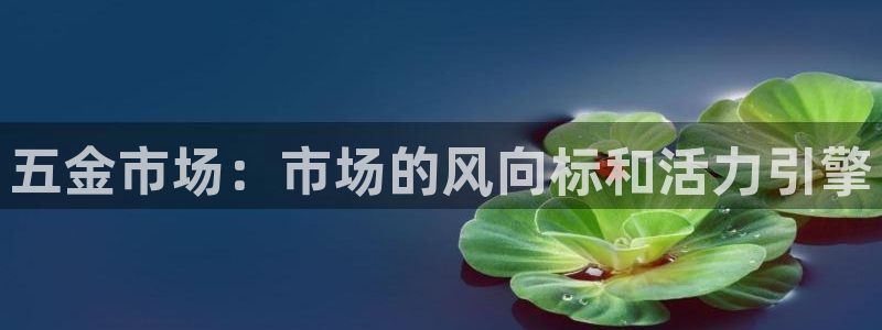 天狮娱乐平台是赌博吗