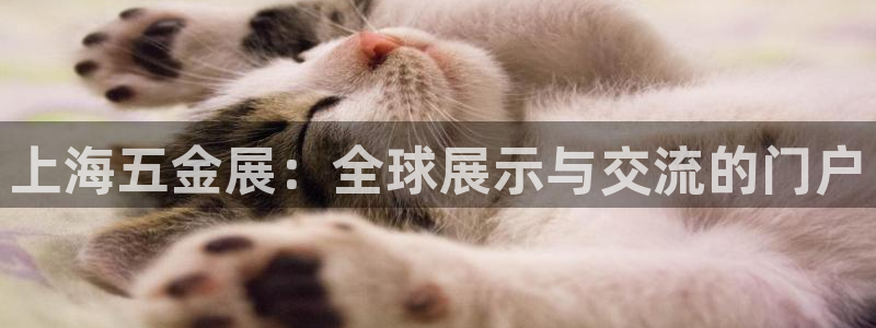 天狮娱乐平台是哪里的